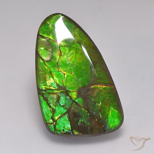 amolita Multicolorido Natural 19.72ct, Chique, Opaco