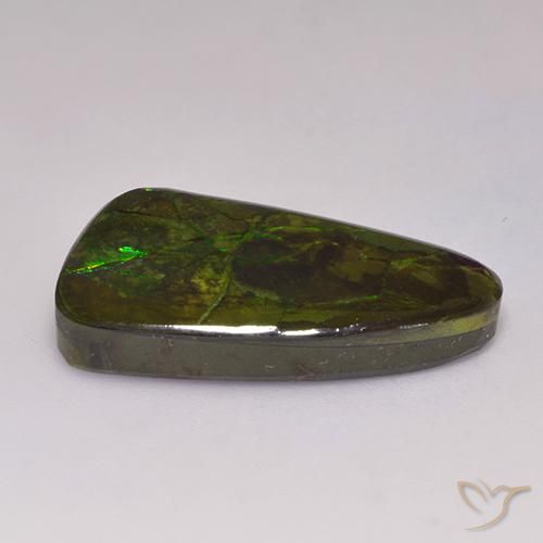 amolita Multicolorido Natural 19.72ct, Chique, Opaco