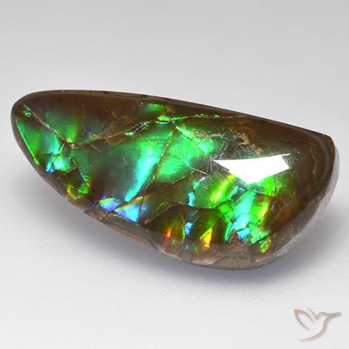 amolita Multicolorido Natural 10.29ct, Chique, Opaco