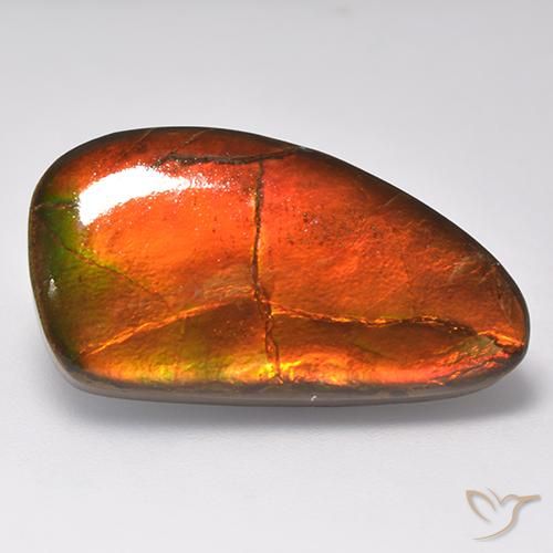 16.93ct Natural Multicolorido amolita, Chique, Opaco