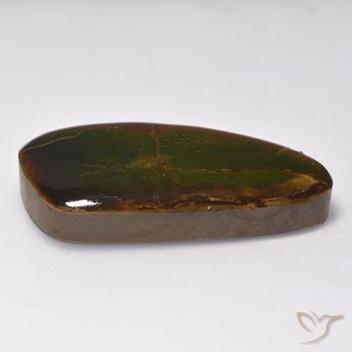 amolita Multicolorido Natural 16.93ct, Chique, Opaco