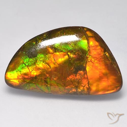 Ammolita Multicolorido Natural 14,90ct, Forma extravagante, Opaco