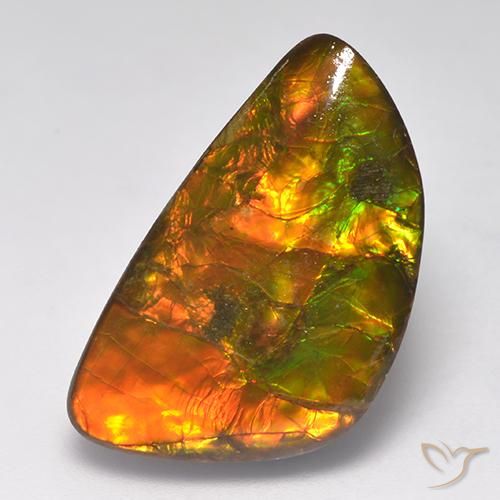 Ammolita Multicolorido Natural 14,90ct, Forma extravagante, Opaco