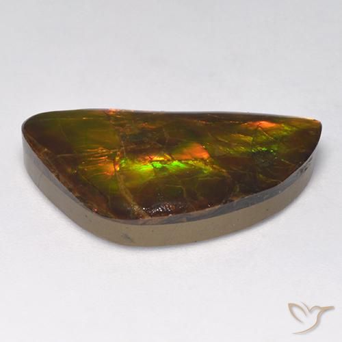 Ammolita Multicolorido Natural 14,90ct, Forma extravagante, Opaco
