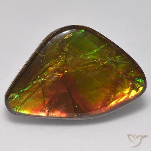 14.18ct Natural Multicolorido amolita, Chique, Opaco