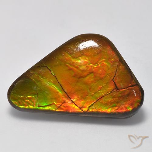 13.81ct Natural Multicolorido amolita, Chique, Opaco