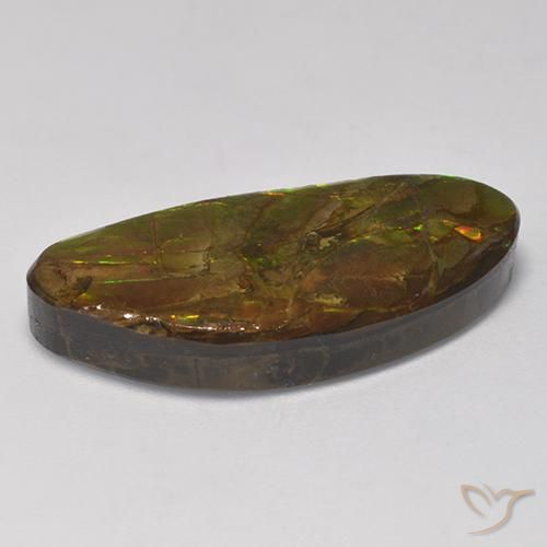 amolita Multicolorido Natural 17.56ct, Chique, Opaco