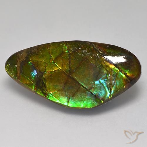 13.97ct Natural Multicolorido amolita, Chique, Opaco