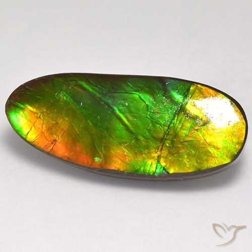 16.31ct Natural Multicolorido amolita, Chique, Opaco