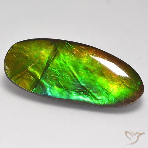 amolita Multicolorido Natural 16.31ct, Chique, Opaco