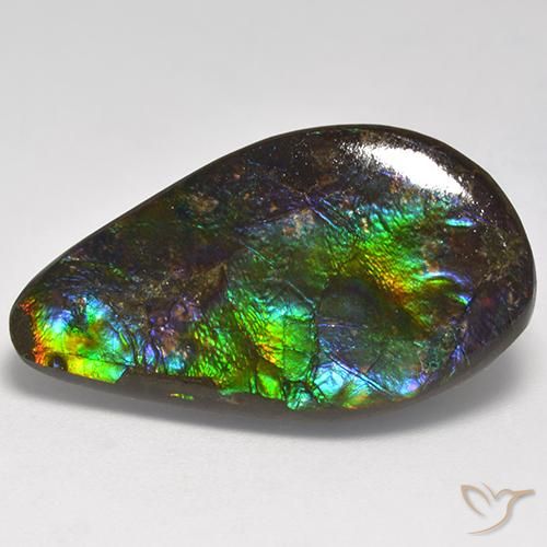 18.05ct Natural Multicolorido amolita, Chique, Opaco