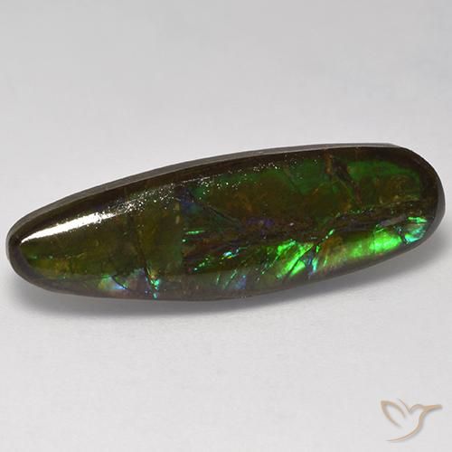 10.95ct Natural Multicolorido amolita, Chique, Opaco