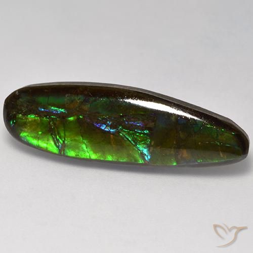 amolita Multicolorido Natural 10.95ct, Chique, Opaco