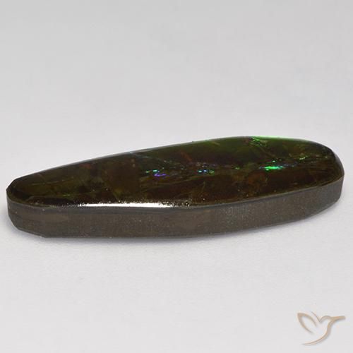 amolita Multicolorido Natural 10.95ct, Chique, Opaco