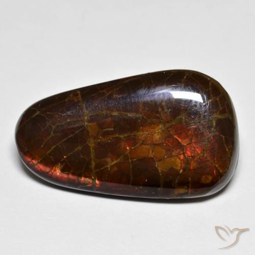 14.44ct Natural Multicolorido amolita, Chique, Opaco