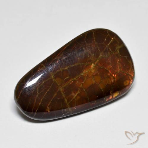amolita Multicolorido Natural 14.44ct, Chique, Opaco
