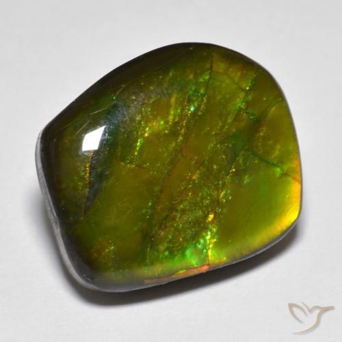 13.07ct Natural Multicolorido amolita, Chique, Opaco
