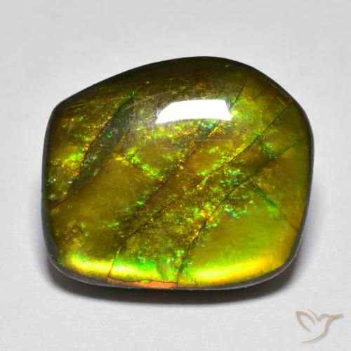 amolita Multicolorido Natural 13.07ct, Chique, Opaco