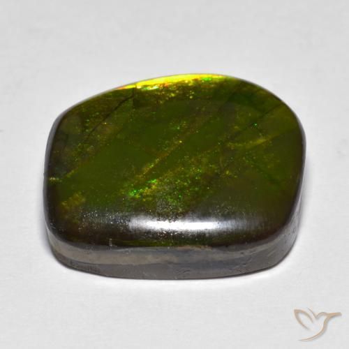 amolita Multicolorido Natural 13.07ct, Chique, Opaco