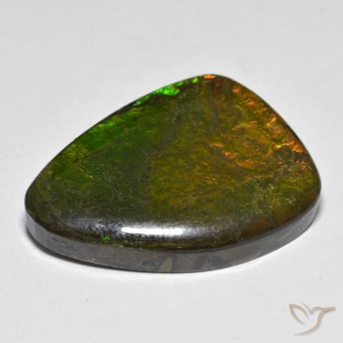 amolita Multicolorido Natural 16.66ct, Chique, Opaco