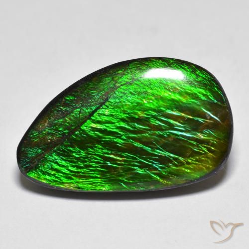 12.81ct Natural Multicolorido amolita, Chique, Opaco