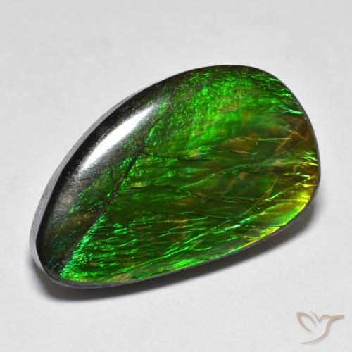 amolita Multicolorido Natural 12.81ct, Chique, Opaco