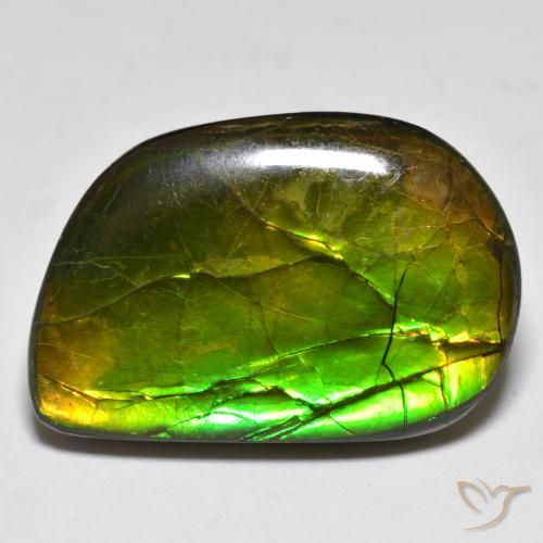 16.89ct Natural Multicolorido amolita, Chique, Opaco