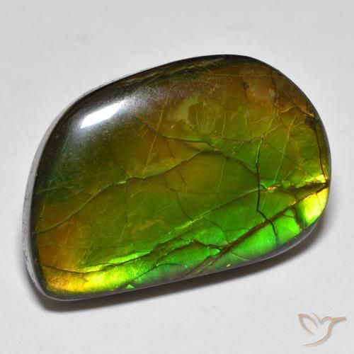 amolita Multicolorido Natural 16.89ct, Chique, Opaco