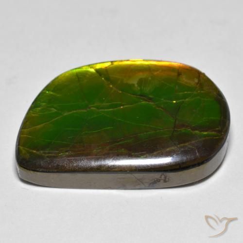 amolita Multicolorido Natural 16.89ct, Chique, Opaco