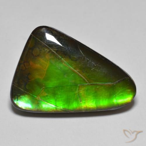 15.34ct Natural Multicolorido amolita, Chique, Opaco