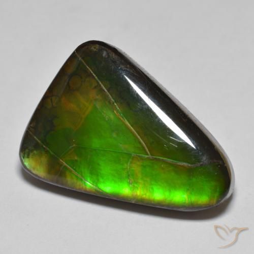 amolita Multicolorido Natural 15.34ct, Chique, Opaco