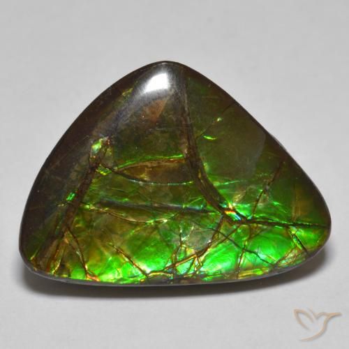 10.78ct Natural Multicolorido amolita, Chique, Opaco