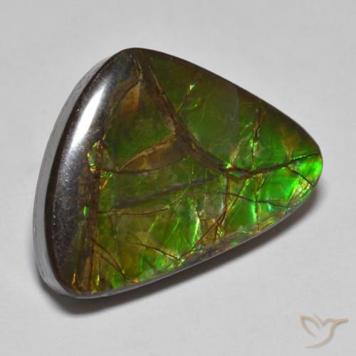 amolita Multicolorido Natural 10.78ct, Chique, Opaco