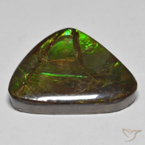 amolita Multicolorido Natural 10.78ct, Chique, Opaco