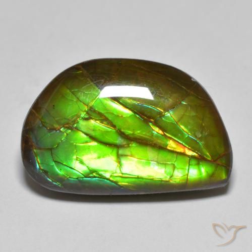 11.66ct Natural Multicolorido amolita, Chique, Opaco