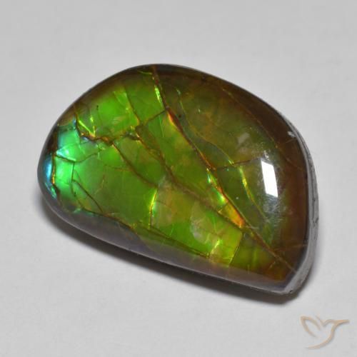 amolita Multicolorido Natural 11.66ct, Chique, Opaco