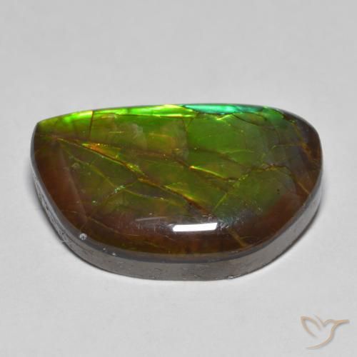 amolita Multicolorido Natural 11.66ct, Chique, Opaco