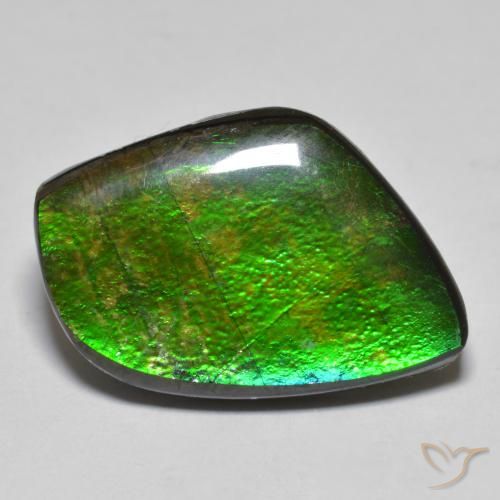 11.78ct Natural Multicolorido amolita, Chique, Opaco