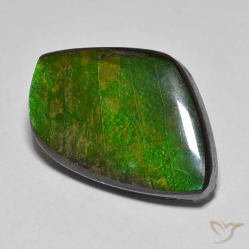 amolita Multicolorido Natural 11.78ct, Chique, Opaco