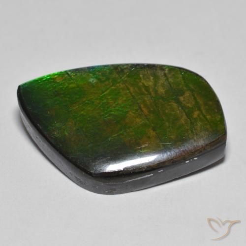 amolita Multicolorido Natural 11.78ct, Chique, Opaco