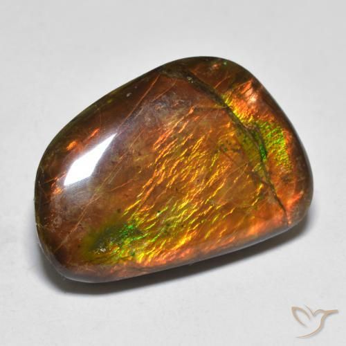 16.39ct Natural Multicolorido amolita, Chique, Opaco