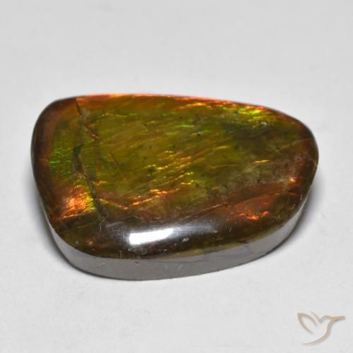 amolita Multicolorido Natural 16.39ct, Chique, Opaco