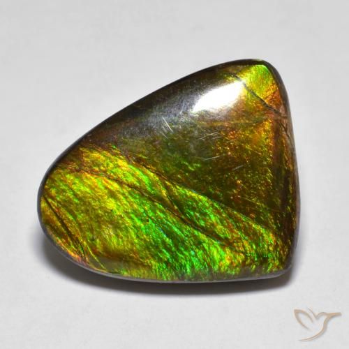 10.20ct Natural Multicolorido amolita, Chique, Opaco