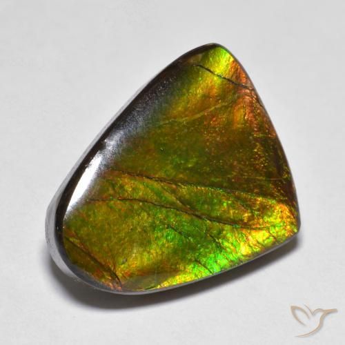 amolita Multicolorido Natural 10.20ct, Chique, Opaco