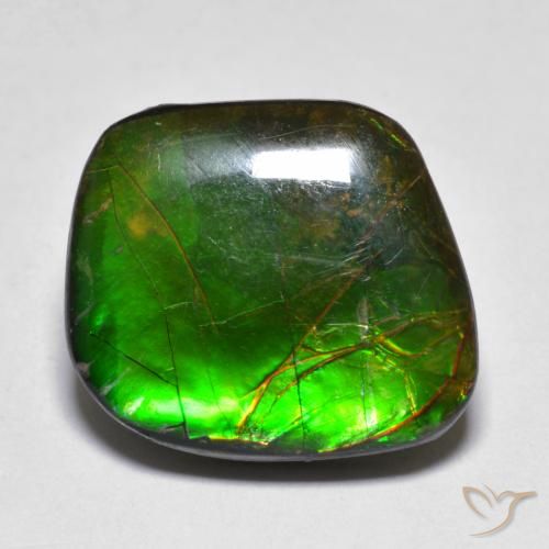 11.10ct Natural Multicolorido amolita, Chique, Opaco