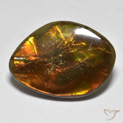20.29ct Natural Multicolorido amolita, Chique, Opaco