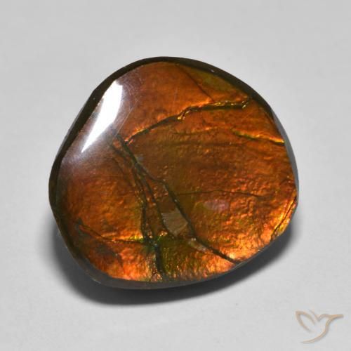 amolita Multicolorido Natural 11.11ct, Chique, Opaco
