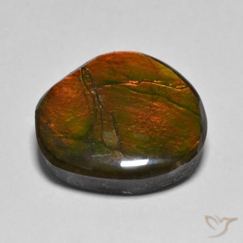 amolita Multicolorido Natural 11.11ct, Chique, Opaco