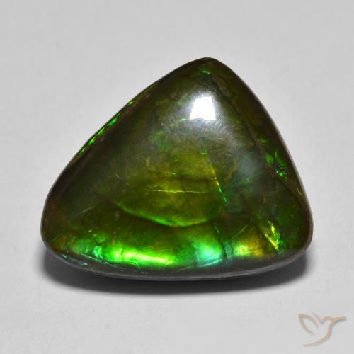 12.07ct Natural Multicolorido amolita, Chique, Opaco