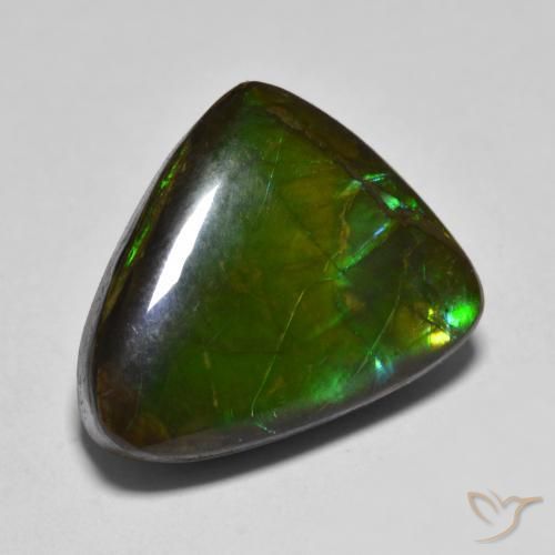 amolita Multicolorido Natural 12.07ct, Chique, Opaco